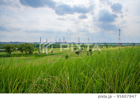彩湖公園付近の土手から 荒川沿いの風景 夏の季節 彩湖公園付近の土手から 荒川沿いの風景 夏の季節 95607947