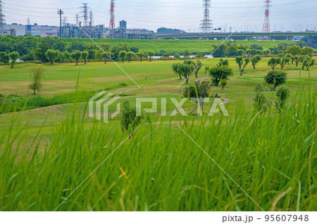 彩湖公園付近の土手から　荒川沿いの風景　夏の季節 95607948