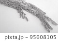 稲穂　穀物　米　モノクロ 95608105