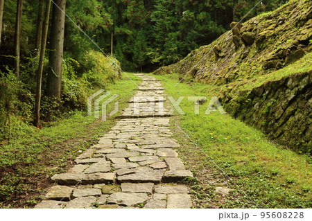 岩村城の登山道(一の門跡) 岩村城の登山道(一の門跡) 95608228