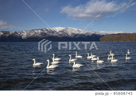 屈斜路湖 95608745