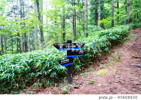 中央アルプス 空木岳登山道 タカウチ場 中央アルプス 空木岳登山道 タカウチ場 95608930