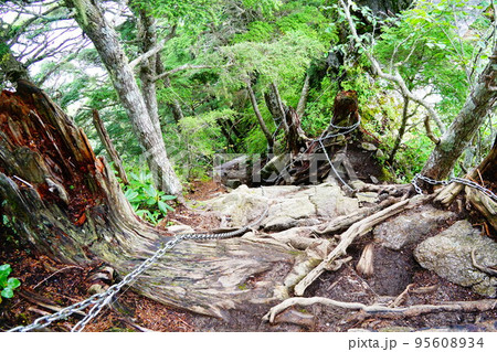 中央アルプス 空木岳登山道の鎖場 中央アルプス 空木岳登山道の鎖場 95608934