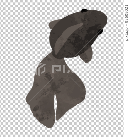 水彩風の上から見た黒色の金魚 95609021