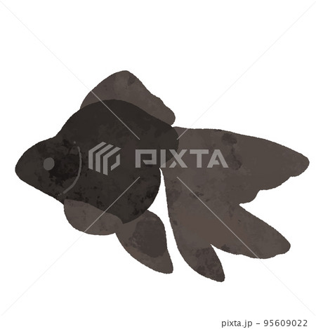 水彩風の横から見た黒色の金魚 95609022
