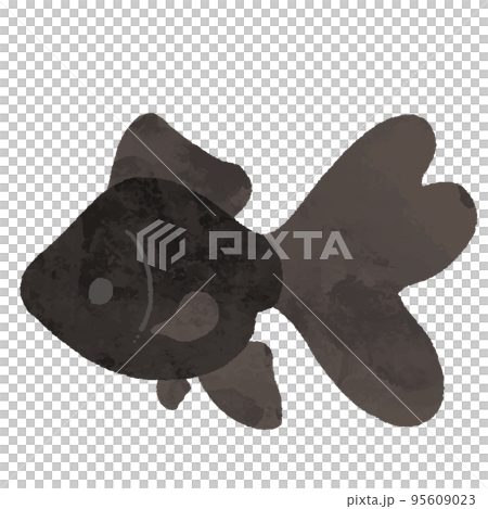 Black goldfish seen from the side in a watercolor style Black goldfish seen from the side in a watercolor style 95609023