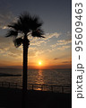 夕日をバックにしたヤシの木と海 95609463