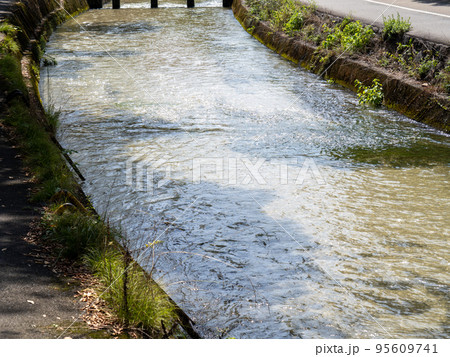白川(京都市内)。白川児童プール跡。 95609741