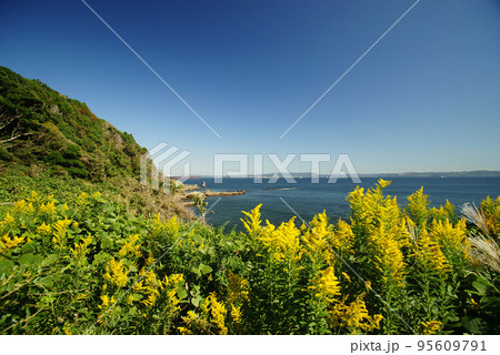 観音崎公園　展望園地からの風景 95609791