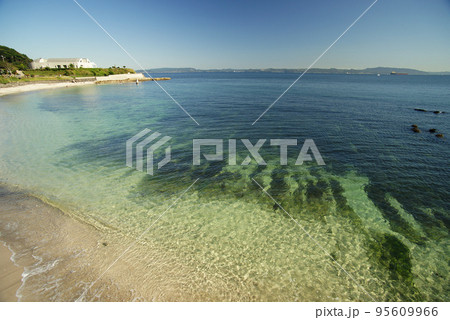 観音崎公園　たたら浜(多々良浜) 95609966