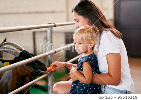 Mom with a little girl feeding a goat in a paddock with carrots on a farm. High quality photo 95610319
