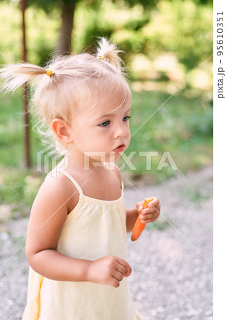 Little girl with a carrot in her hands. High quality photo Little girl with a carrot in her hands. High quality photo 95610351