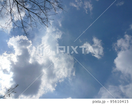爽やかな青空 95610415