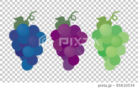3つのぶどうのイラスト素材 [95610534] - PIXTA