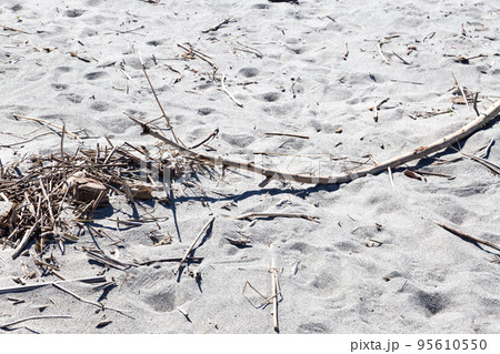 砂浜と漂流ゴミ 95610550