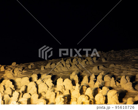 ライトアップされた樹氷 (山形県、蔵王山、地蔵山頂駅) 95610726