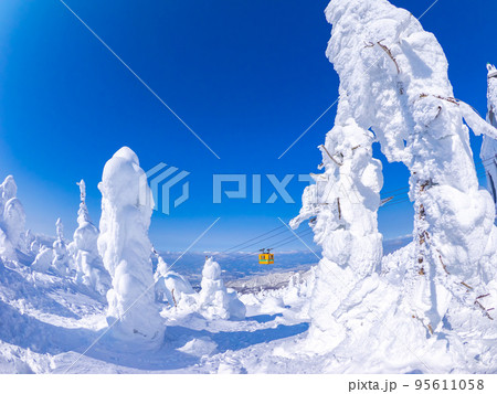 樹氷と合間から覗くロープウェイ (山形県、蔵王温泉スキー場) 95611058