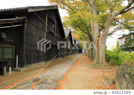 山居倉庫のケヤキ並木【国指定史跡・山形県酒田市】 95611399