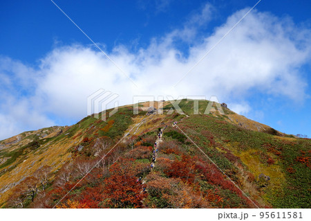 谷川岳登山ルートの景色 谷川岳登山ルートの景色 95611581
