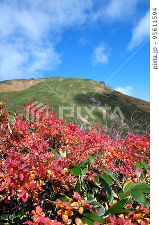 谷川岳登山ルートの景色 谷川岳登山ルートの景色 95611594