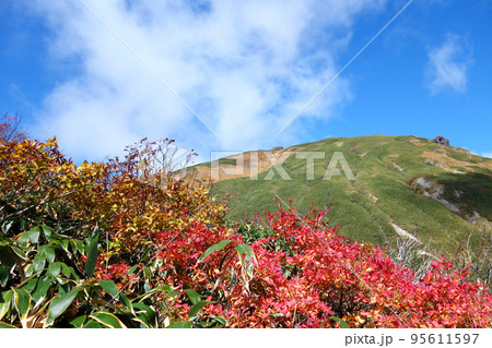 谷川岳登山ルートの景色 谷川岳登山ルートの景色 95611597