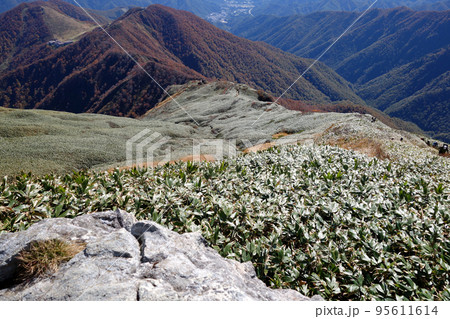 谷川岳登山ルートの景色 95611614