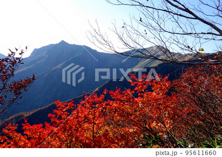 谷川岳登山ルートの景色 95611660