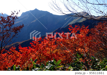 谷川岳登山ルートの景色 谷川岳登山ルートの景色 95611661