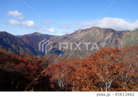 谷川岳登山ルートの景色 谷川岳登山ルートの景色 95611662