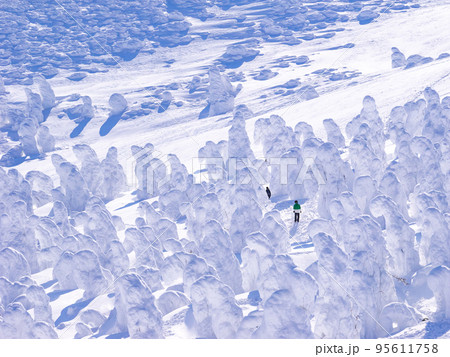 樹氷の中を歩く観光客 (山形県、蔵王山) 95611758
