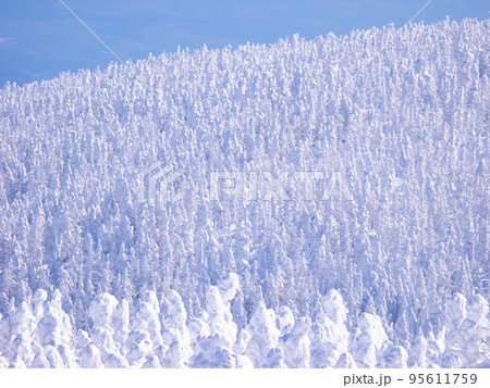 樹氷に覆われた山々を見渡す (山形県、蔵王山) 95611759