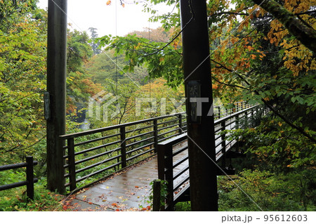 奈曽の白滝 【秋田県にかほ市】 奈曽の白滝 【秋田県にかほ市】 95612603