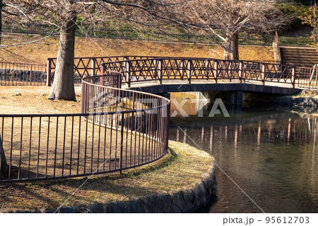 爽やかな公園風景 爽やかな公園風景 95612703
