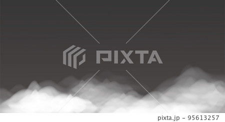 realistic vector illustration of fog or clouds, white and black background 95613257