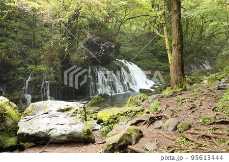 元滝伏流水 (平成の名水百選) / 鳥海山・飛島ジオパーク【秋田県にかほ市】 元滝伏流水 (平成の名水百選) / 鳥海山・飛島ジオパーク【秋田県にかほ市】 95613444