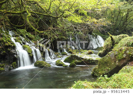元滝伏流水 (平成の名水百選) / 鳥海山・飛島ジオパーク【秋田県にかほ市】 元滝伏流水 (平成の名水百選) / 鳥海山・飛島ジオパーク【秋田県にかほ市】 95613445