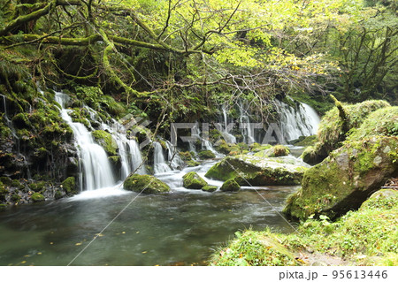 元滝伏流水 (平成の名水百選) / 鳥海山・飛島ジオパーク【秋田県にかほ市】 元滝伏流水 (平成の名水百選) / 鳥海山・飛島ジオパーク【秋田県にかほ市】 95613446