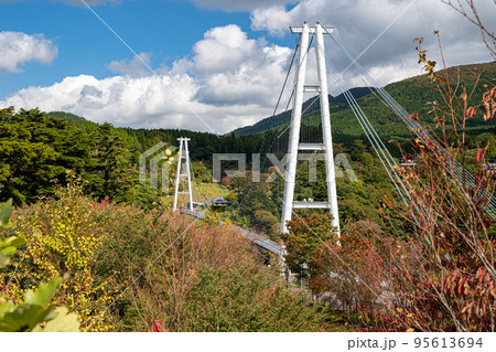 九重夢大吊橋周辺を散策して 九重夢大吊橋周辺を散策して 95613694