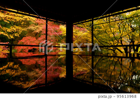 雨の瑠璃光院　2階書院の紅葉 95613968