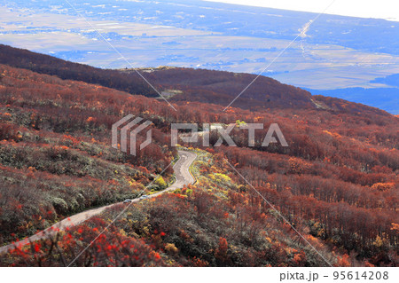 鳥海ブルーライン 95614208