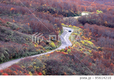 鳥海ブルーライン 鳥海ブルーライン 95614210