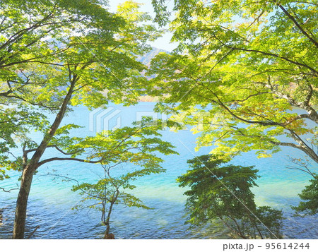 秋の中禅寺湖畔 95614244