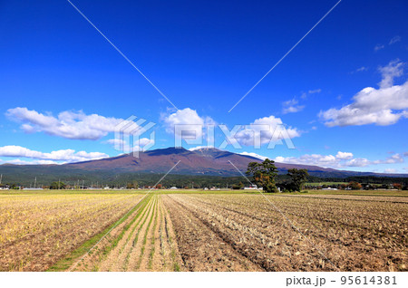 秋の庄内平野と鳥海山の紅葉 95614381