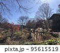山 紅葉 95615519
