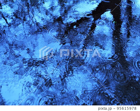 雨の日　波紋　水紋 95615978