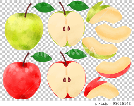 りんごのイラスト 手描き 水彩風 りんごのイラスト 手描き 水彩風 95616148