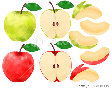 りんごのイラスト　手描き　水彩風 95616149