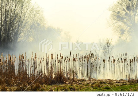 coastal zone of marsh creek, strong smoke from fire of liana overgrowth. Spring fires of dry reeds dangerously approach houses of village by river Cleaning fields of reeds, dry grass. Natural disaster coastal zone of marsh creek, strong smoke from fire of liana overgrowth. Spring fires of dry reeds dangerously approach houses of village by river Cleaning fields of reeds, dry grass. Natural disaster 95617172
