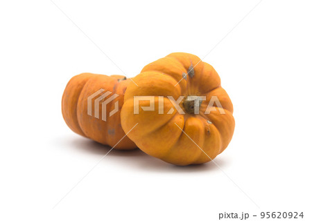 closeup of small pumpkins on white background 95620924