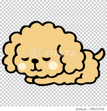 Loose hand-painted toy poodle sleeping pose Loose hand-painted toy poodle sleeping pose 95621542